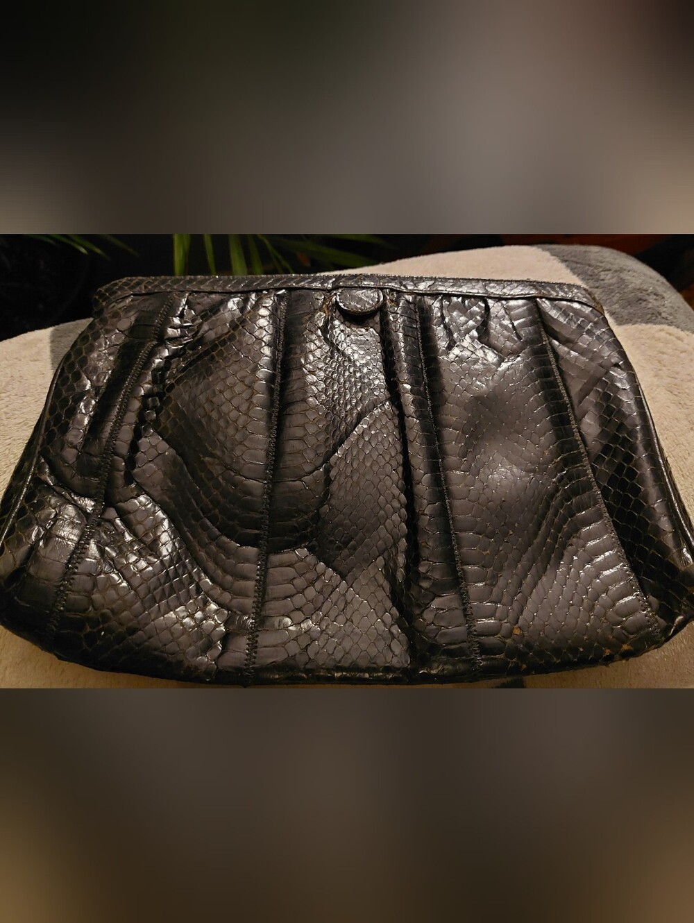 Black Palizzio Snake-Embossed Pleated Clutch